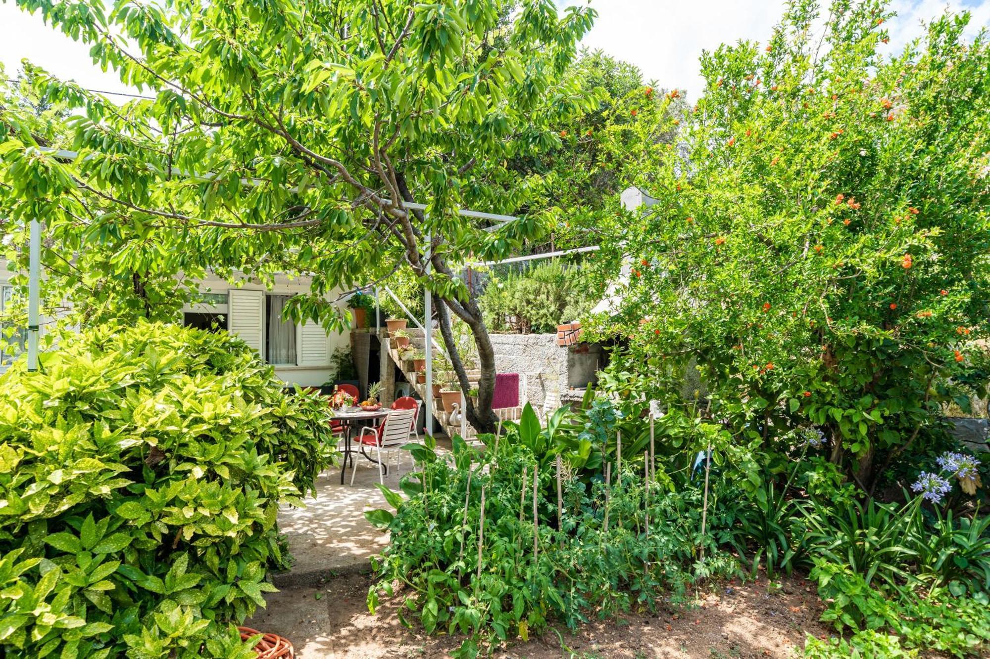 Apartments Zarac Dubrovník Pokoj fotografie